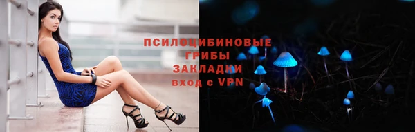 гидропоника Лагань