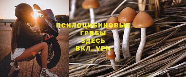 первитин Ладушкин