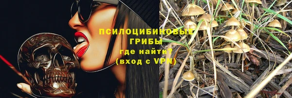 гидропоника Лагань