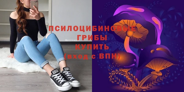 гидропоника Лагань